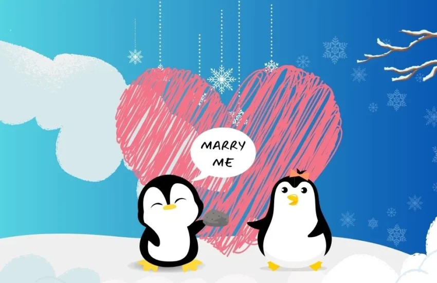 The Ultimate Guide to Penguin Romance: Pebbles, Proposals, and Pure Awkwardness