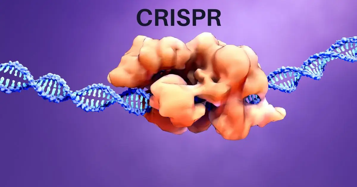 crispr