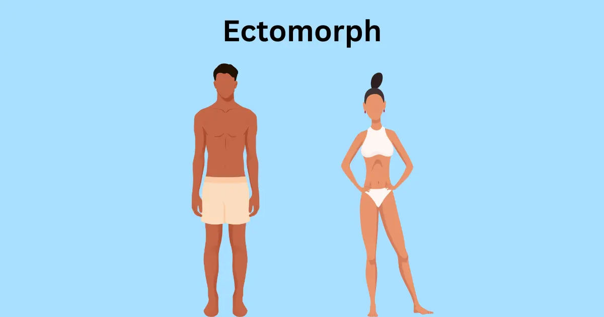 Ectomorph: The Skinny on Skinny People