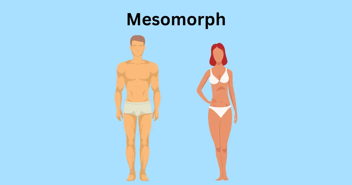 MesoMorph: The Athlete’s Advantage