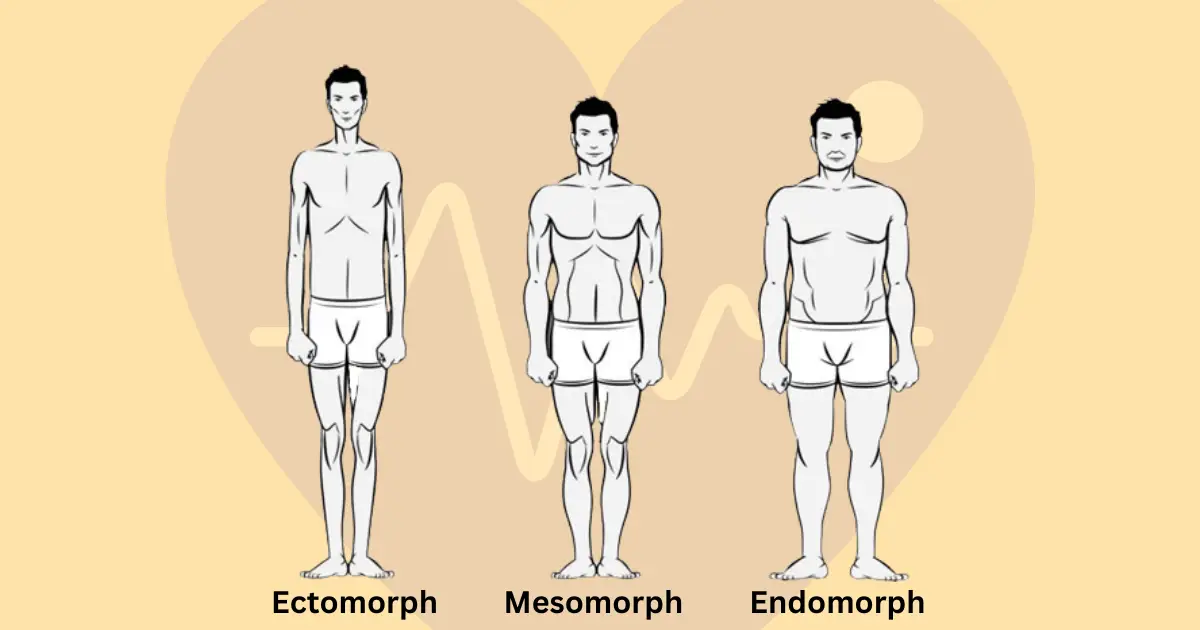 Somatotype: Unveiling the Body’s Blueprint